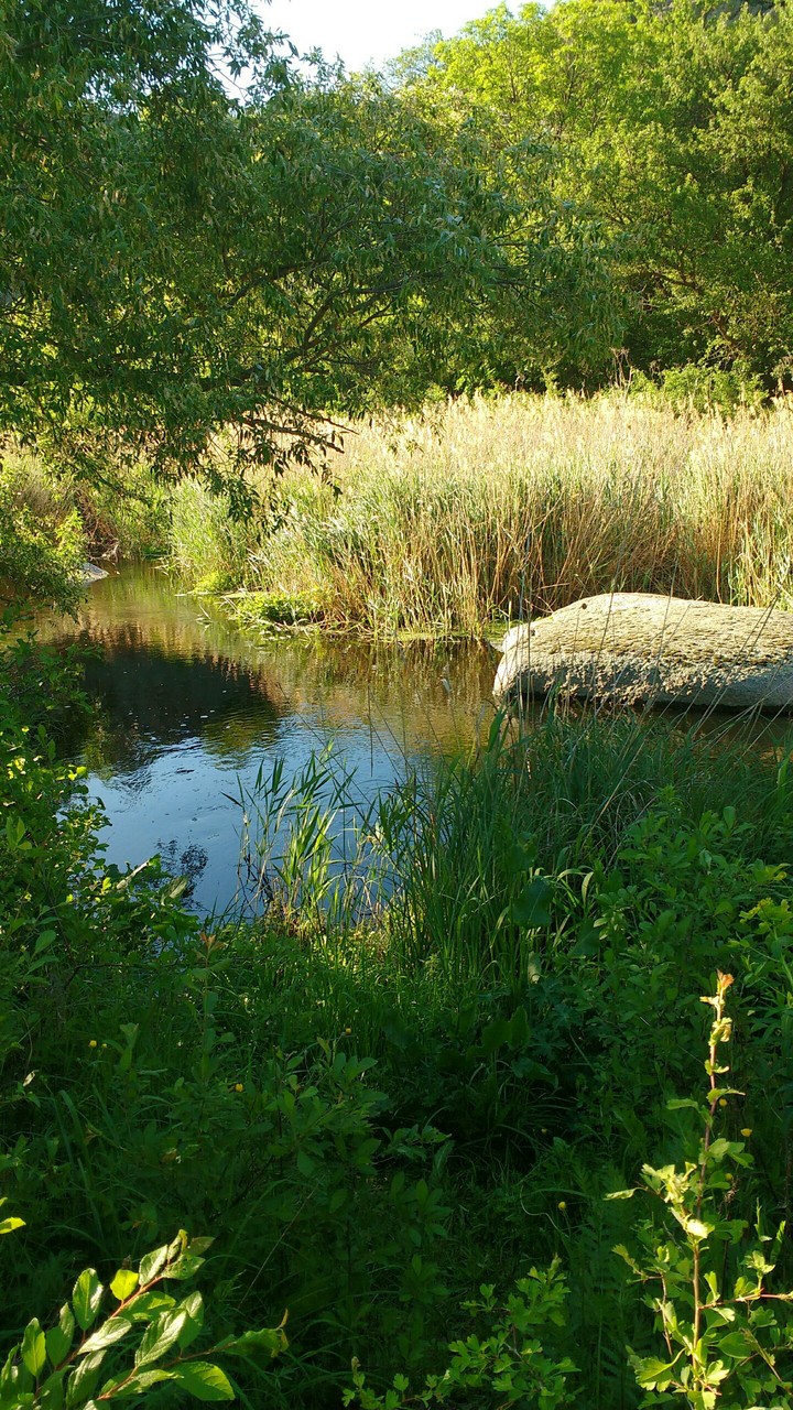 река в каньоне