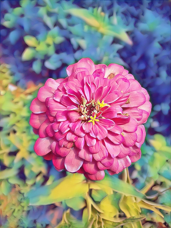 ❤❤
