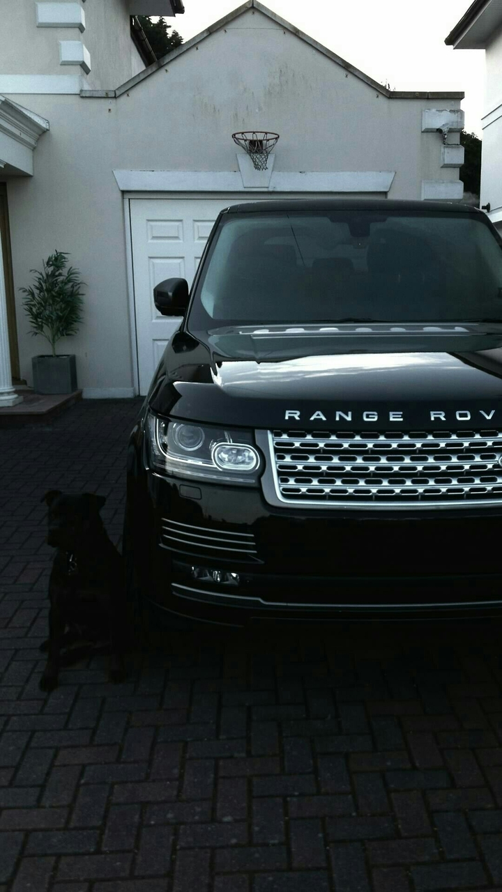 auto
