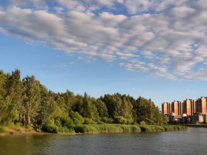 парк. новостройки