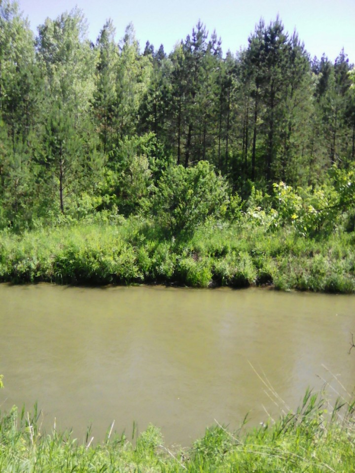 на реке