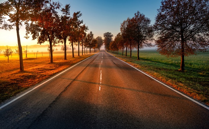 Allee im herbstlichen Sonnenuntergang