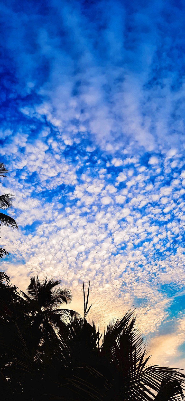 Alto cummulus- The evening cloud