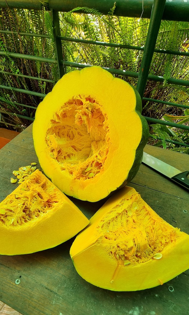 Calabaza