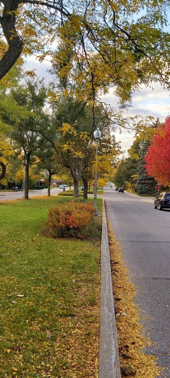 Colorful autumn