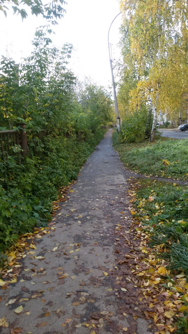 дорога
