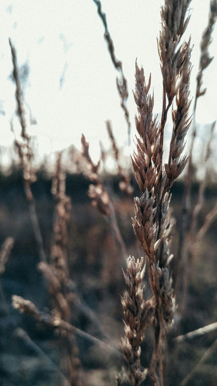 осень
