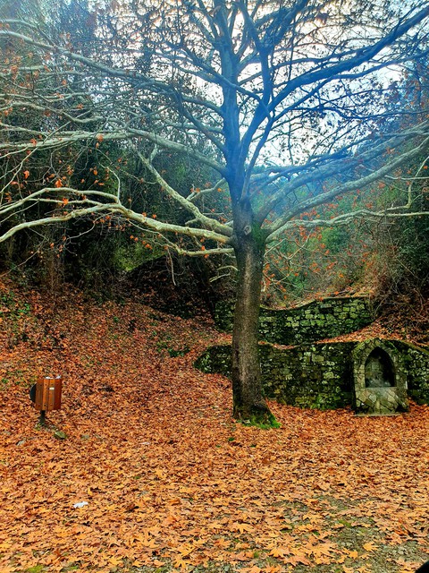scenery