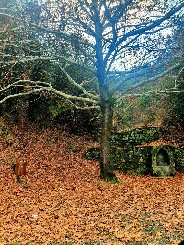 scenery