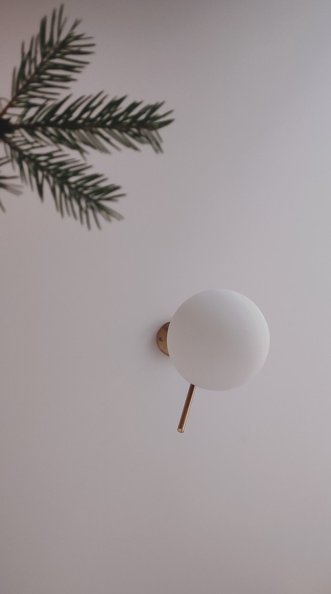 обои twig, circle