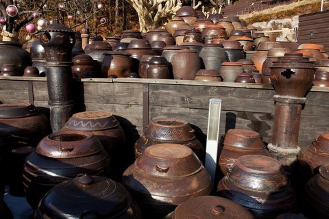 Traditional Culture