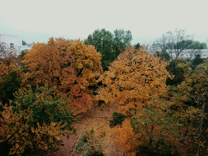 осень