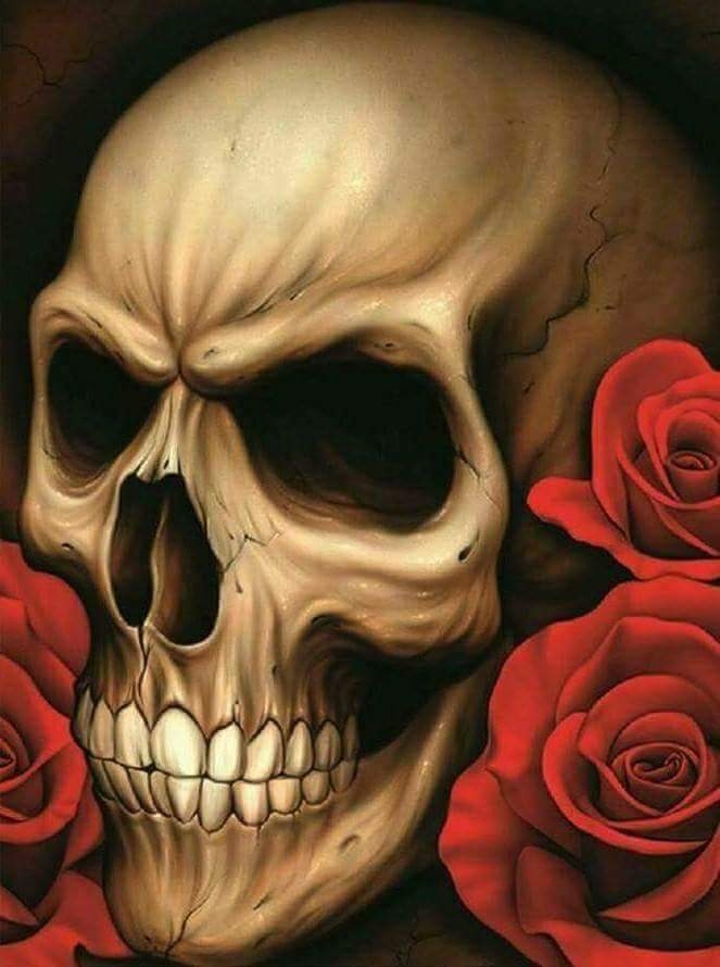 skull