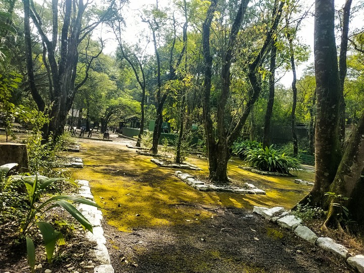 nature