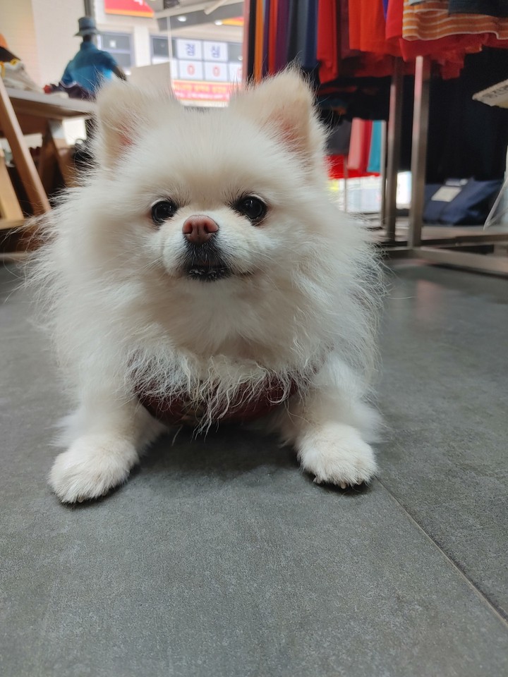 구름이