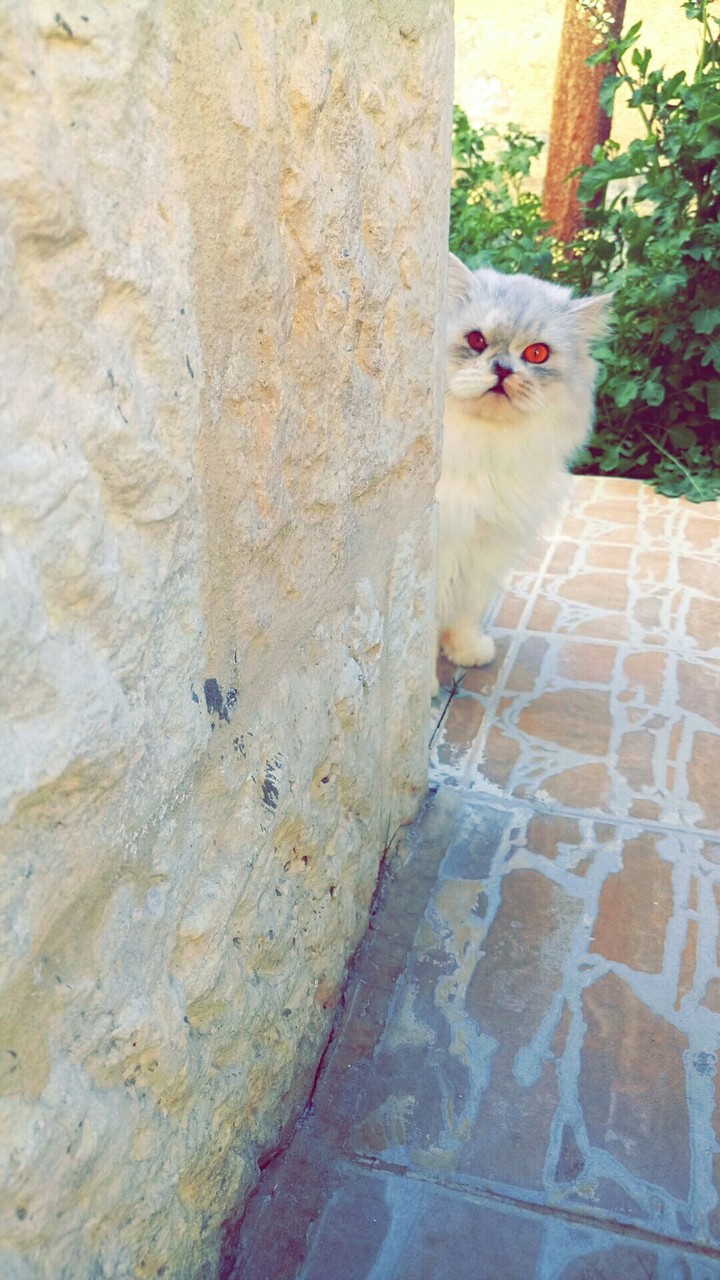 I'm hiding 