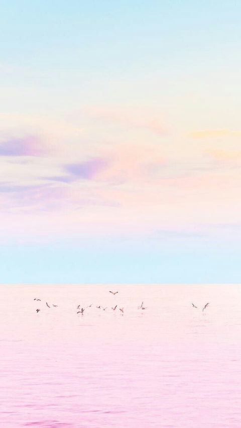 rose sea