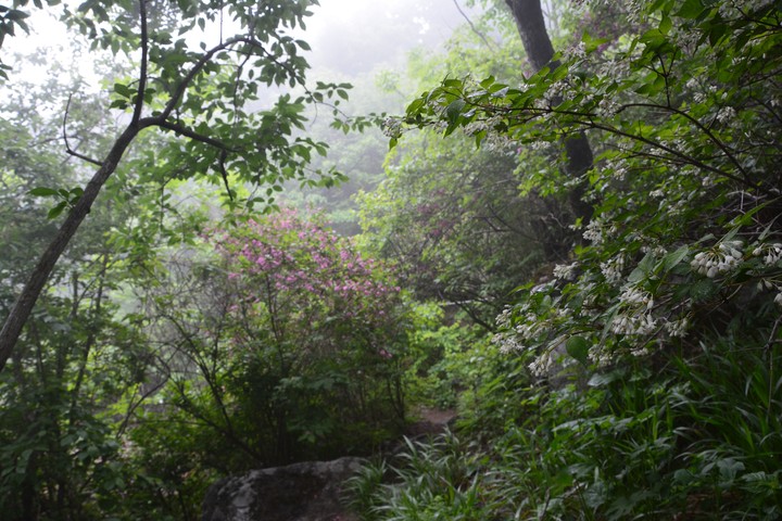 용문산이미지