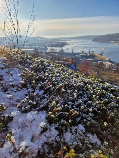Кольский
