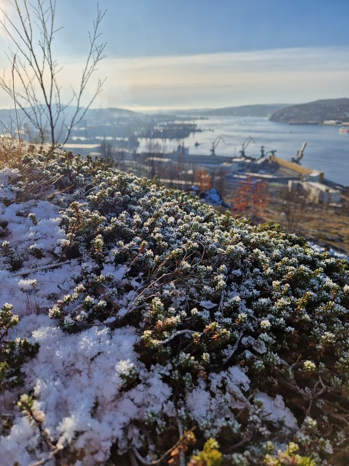 Кольский