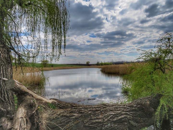Lake