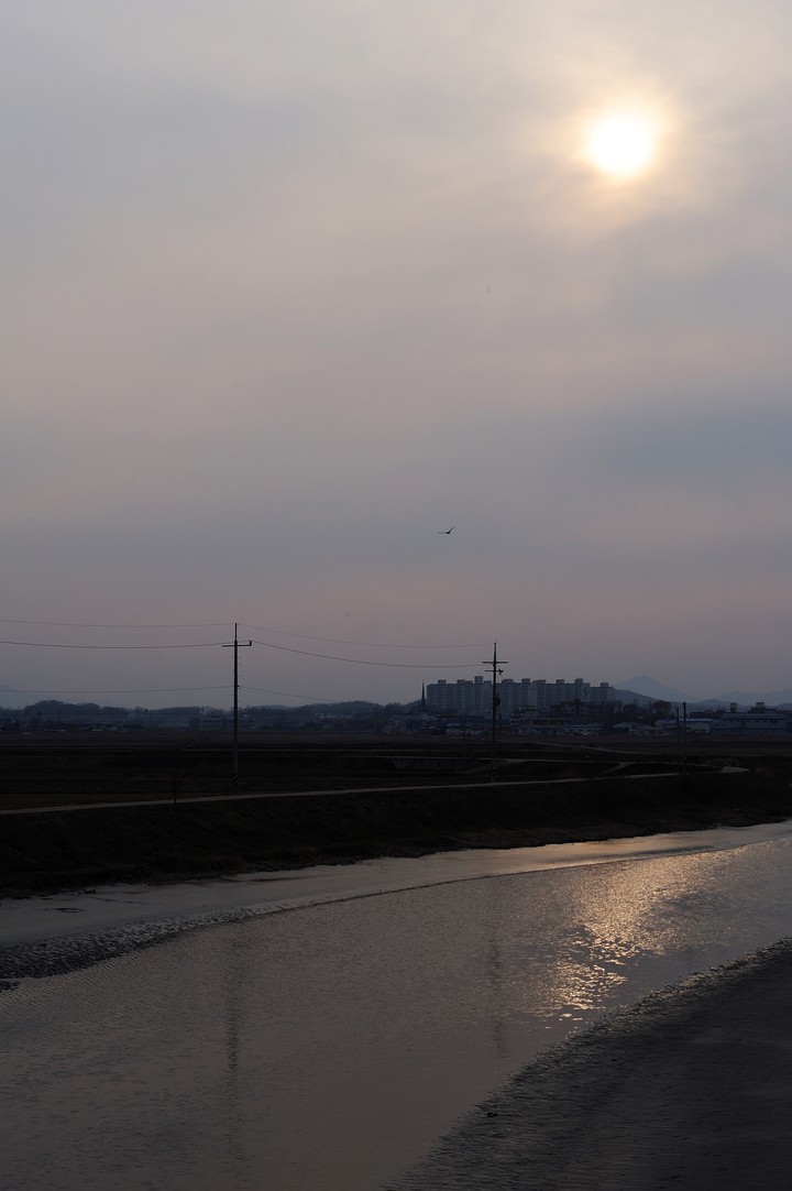 Scenics