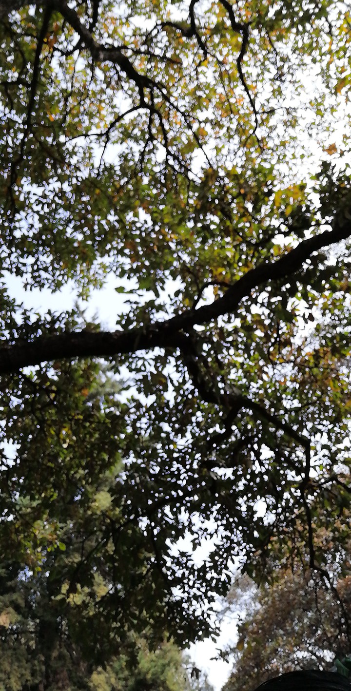naturaleza