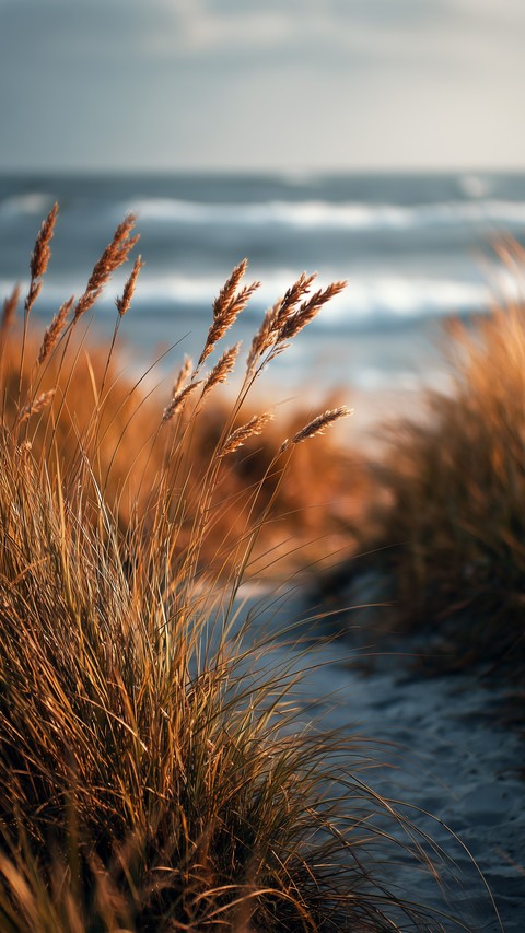 sunrise, sunlight wallpapers