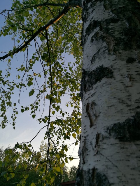 sky