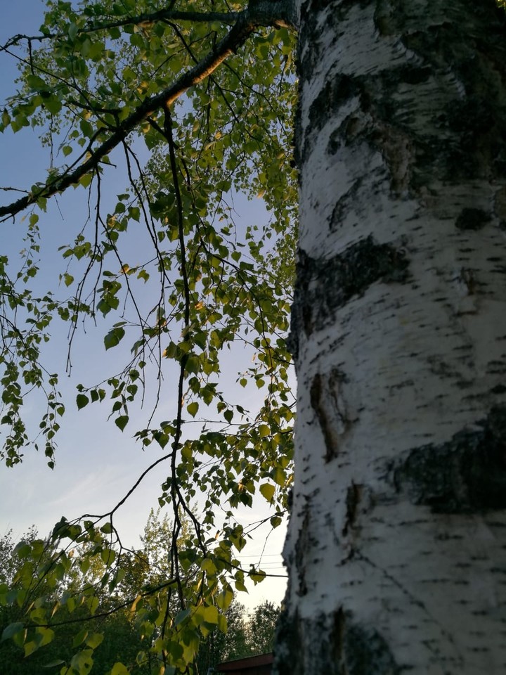 sky