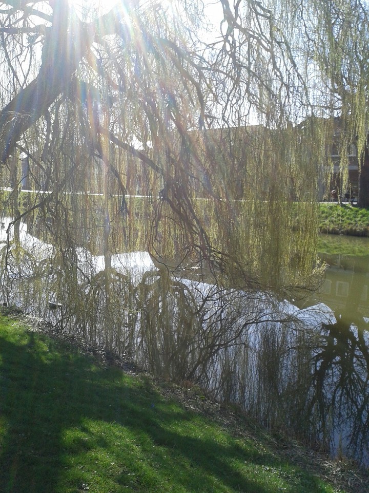 Netherlands