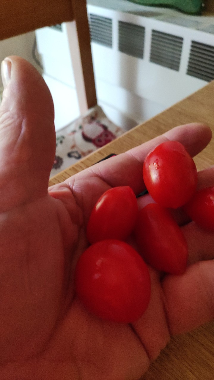 pomodorini... mmmmmmm