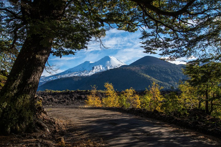 Awesome Landscape and Mountain View