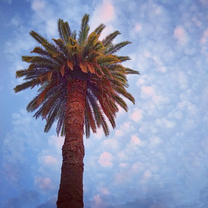 mueve el cielo