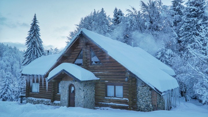 cabin in the woods