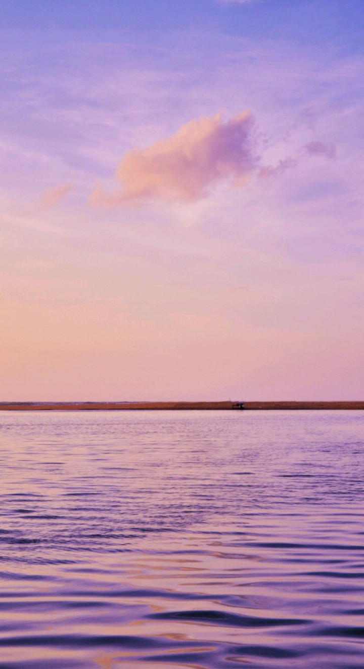 Purple sea