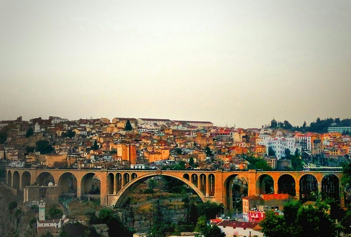the Constantine