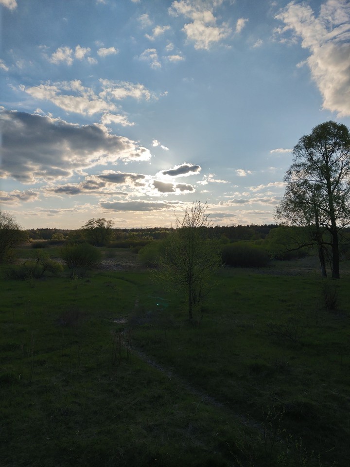 тропинка