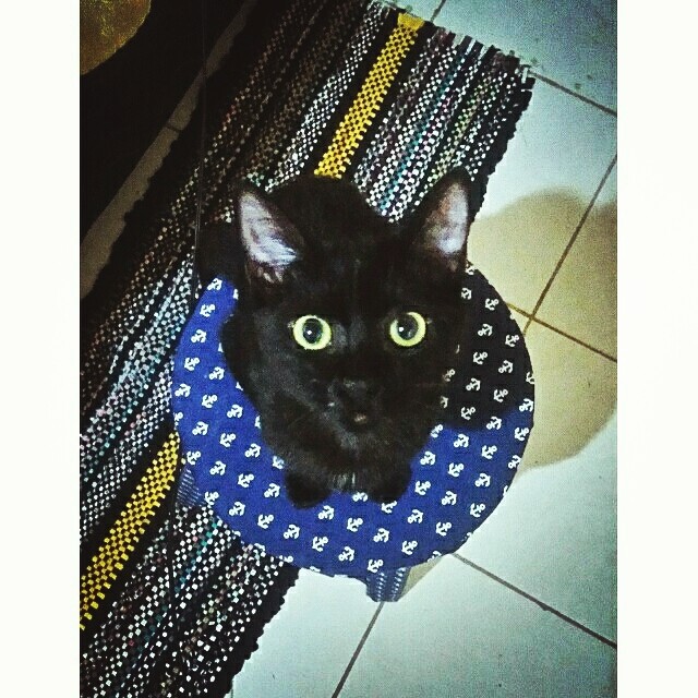 Princesa da mamãe