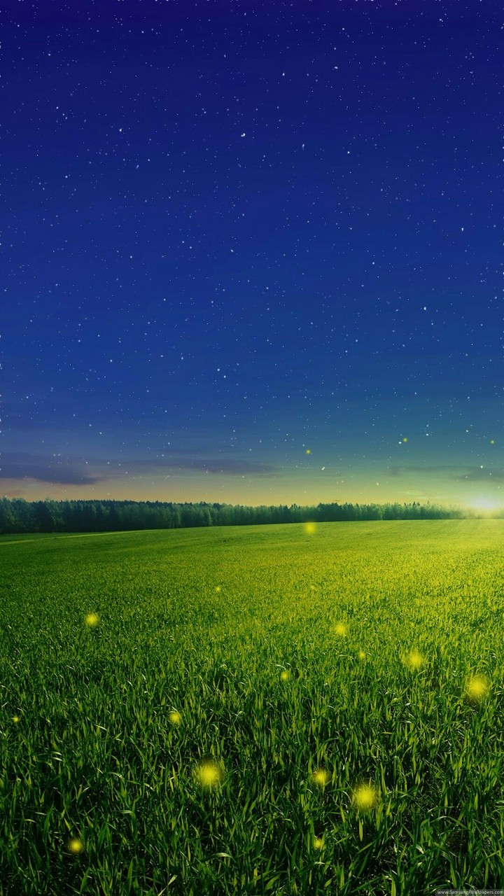 الاراضي الخضراء The green lands