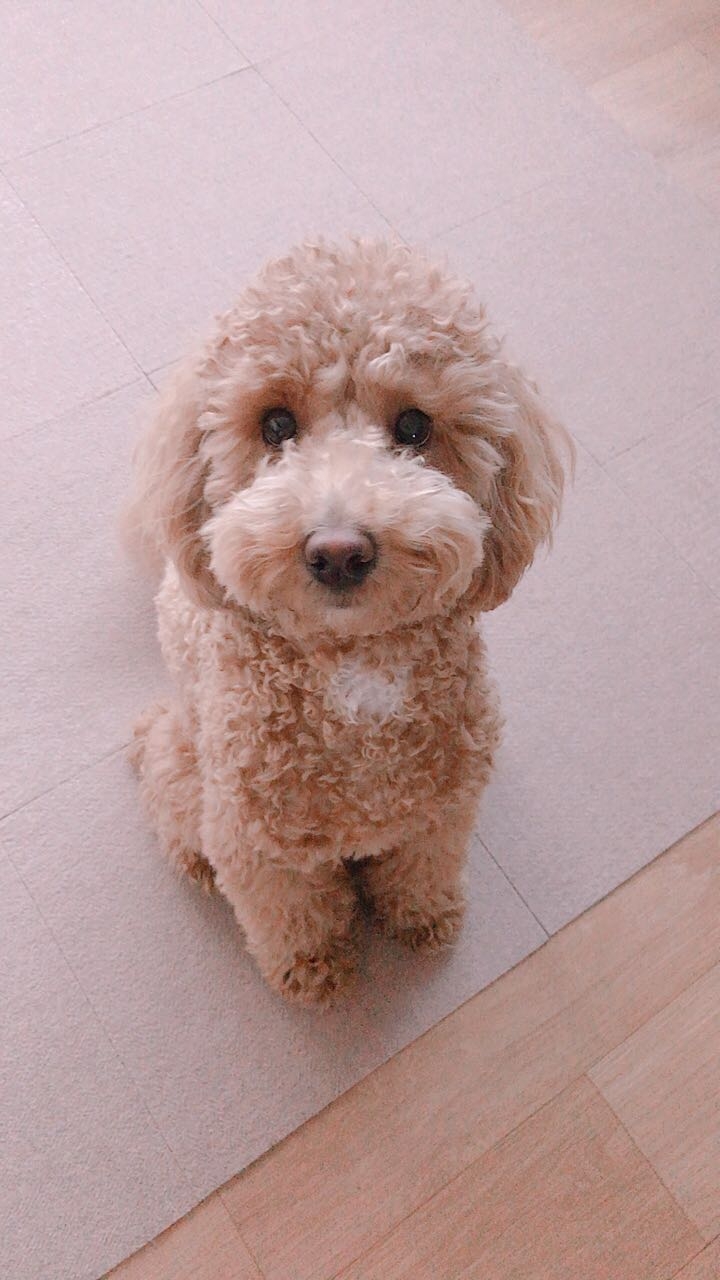 lovely boy