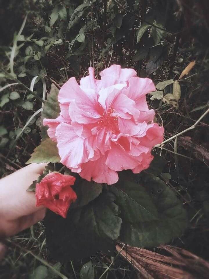 ❤