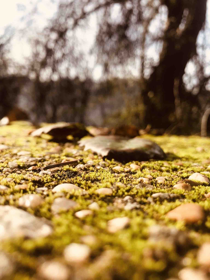 earth