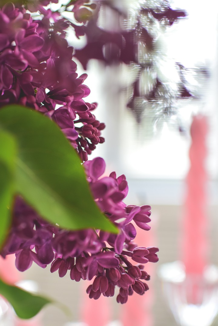 Lilac