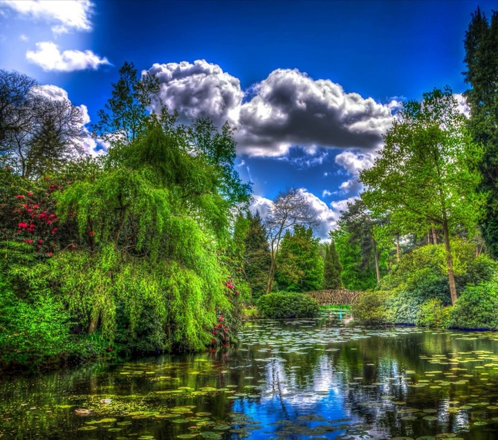 Fishpond