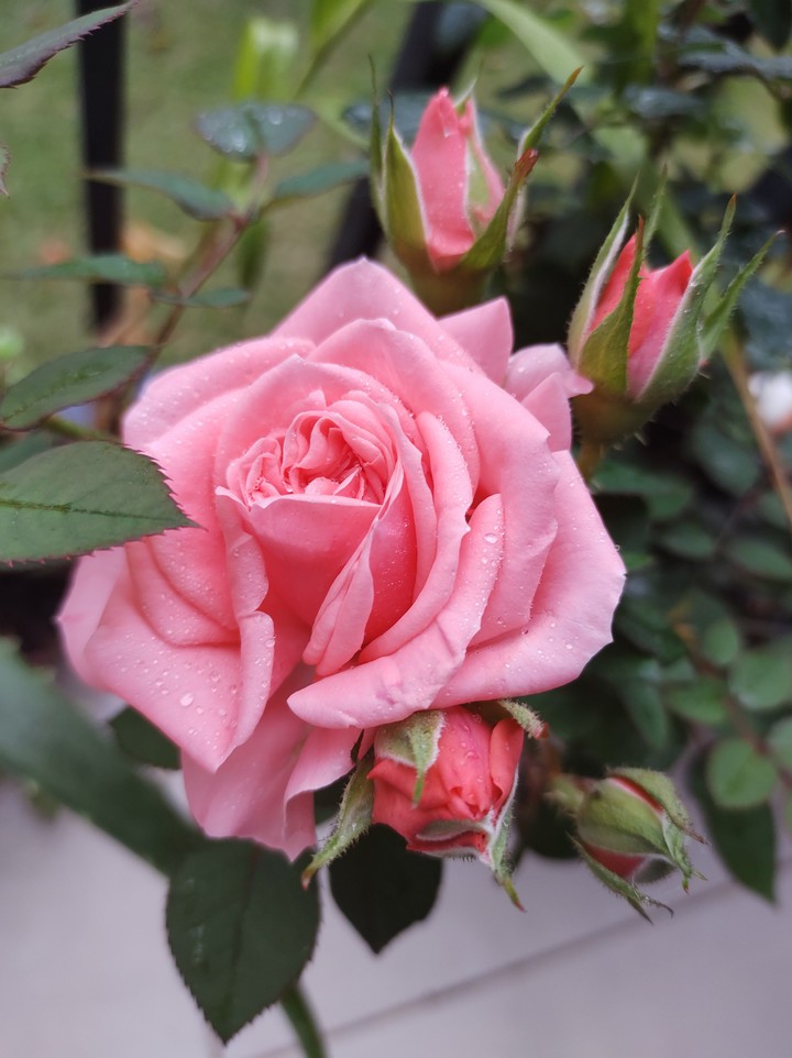 sem filtros, apenas ao natural