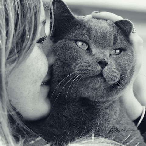 cate