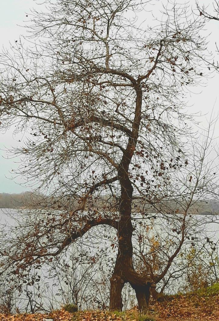 осень