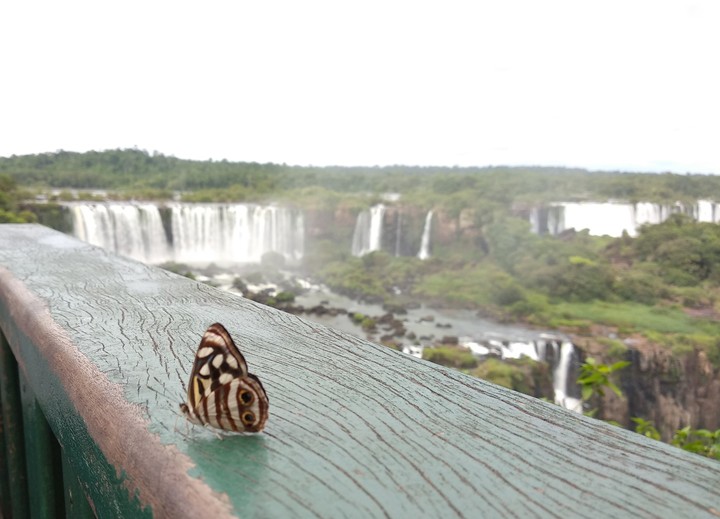 Cataratas do Iguaçu