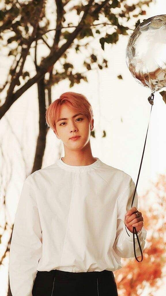 seokjin